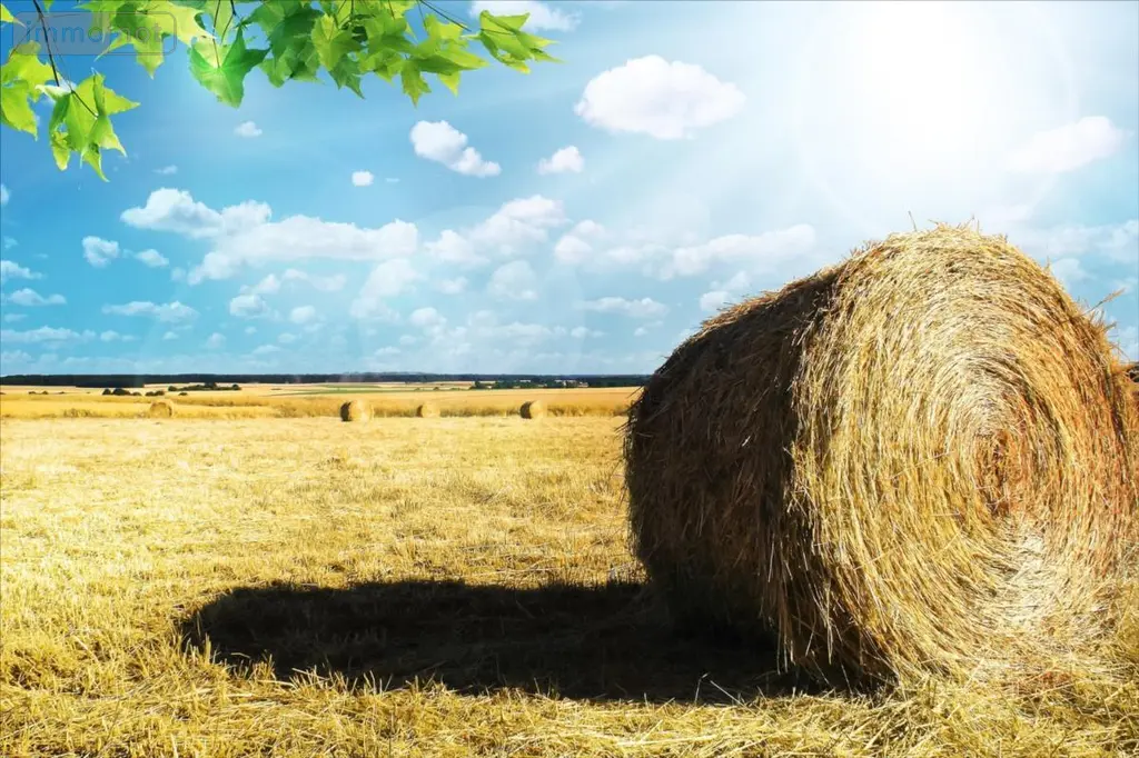 Bien agricole a vendre Aize 36150 Indre 36 817950 euros 021/1599 001