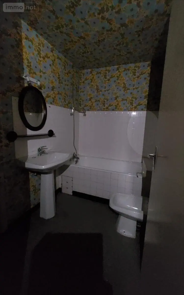 Maison a vendre Carhaix-Plouguer 29270 Finistère 29 50 m2 4 pièces 52500 euros 29066-1092517 012