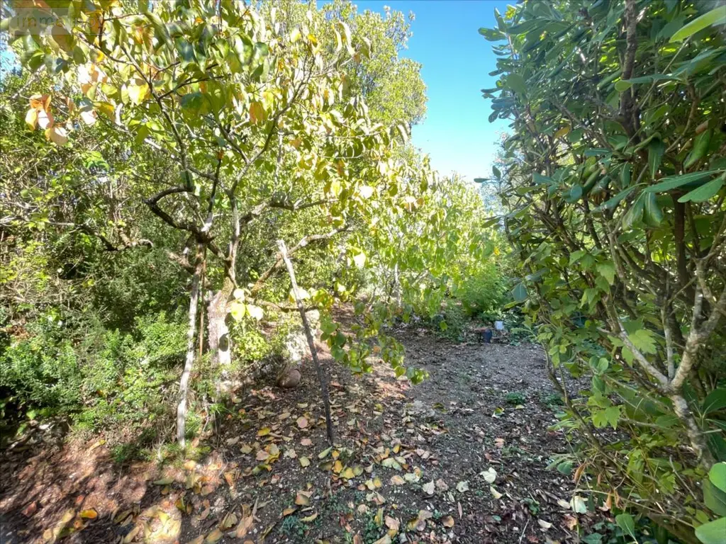 Maison a vendre Saint-Rogatien 17220 Charente-Maritime 17 156 m2 5 pièces 476100 euros 17112-436 015
