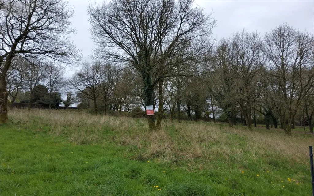 Terrain a batir a vendre Carhaix-Plouguer 29270 Finistère 29 84000 euros 29066-1093829 003