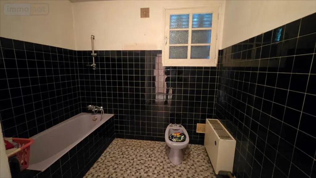 Maison a vendre Veuil 36600 Indre 36 125 m2 7 pièces 107500 euros 021/1604 012