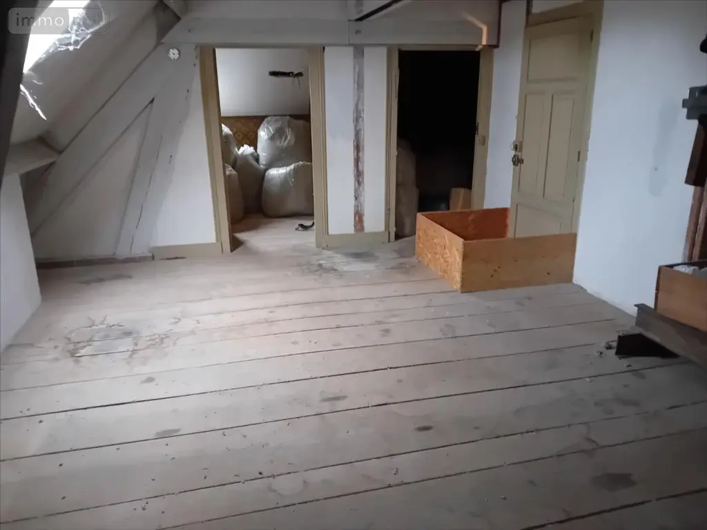 Maison a vendre Mayet 72360 Sarthe 72 138 m2 5 pièces 294000 euros 72012-1094341 046