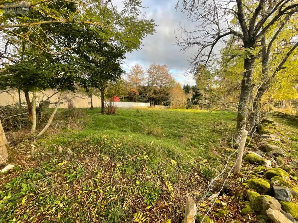 Terrain a batir a vendre Le Malzieu-Ville 48140 Lozère 48 49000 euros 48032-102 004