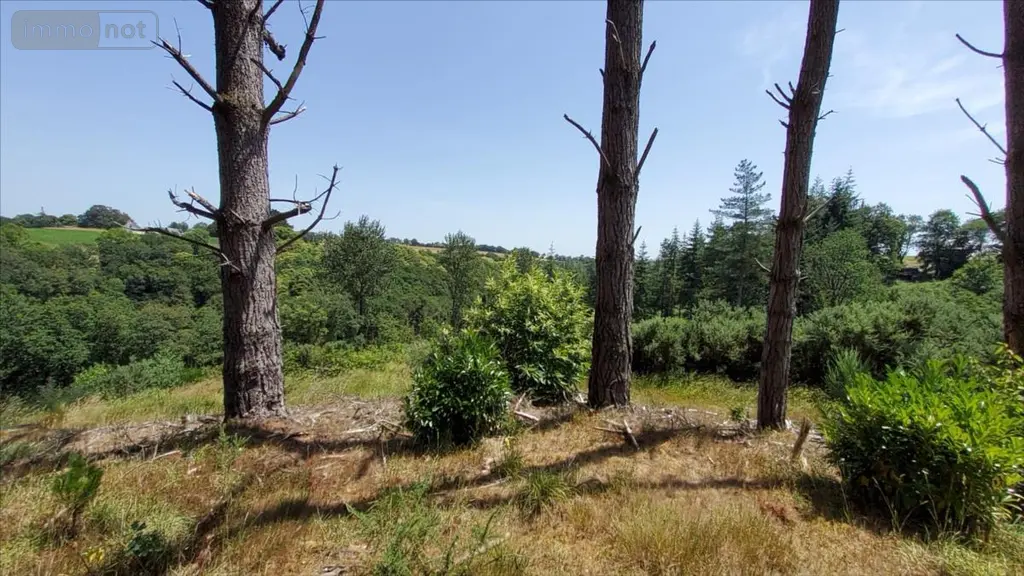 Maison a vendre Plounévézel 29270 Finistère 29 160 m2 6 pièces 189000 euros 29066-1094569 014