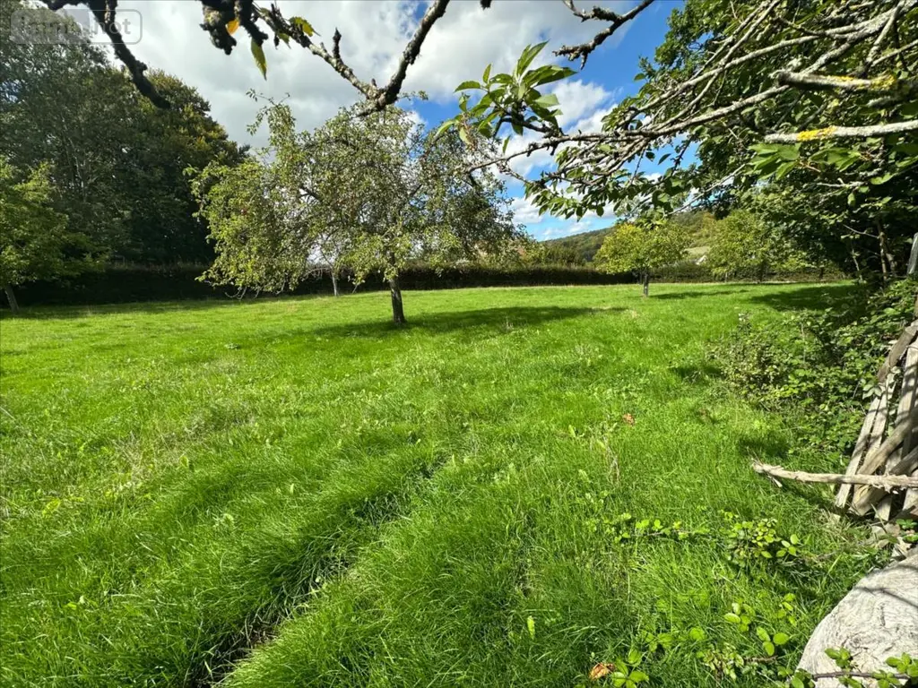 Terrain a batir a vendre Freulleville 76510 Seine-Maritime 76 72450 euros 76045-1096679 003