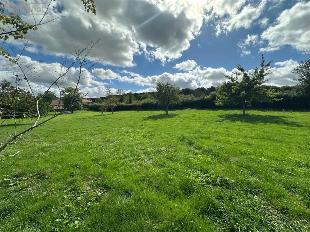 Terrain a batir a vendre Freulleville 76510 Seine-Maritime 76 66150 euros 76045-1096680 003