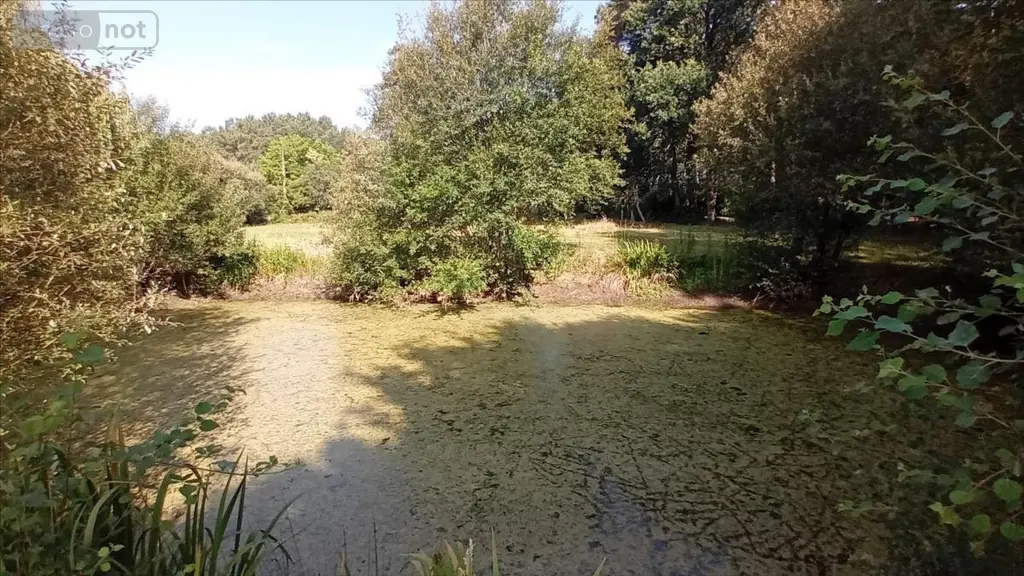 Maison a vendre Parigné-l'Évêque 72250 Sarthe 72 109 m2 5 pièces 212000 euros 72012-1095627 014