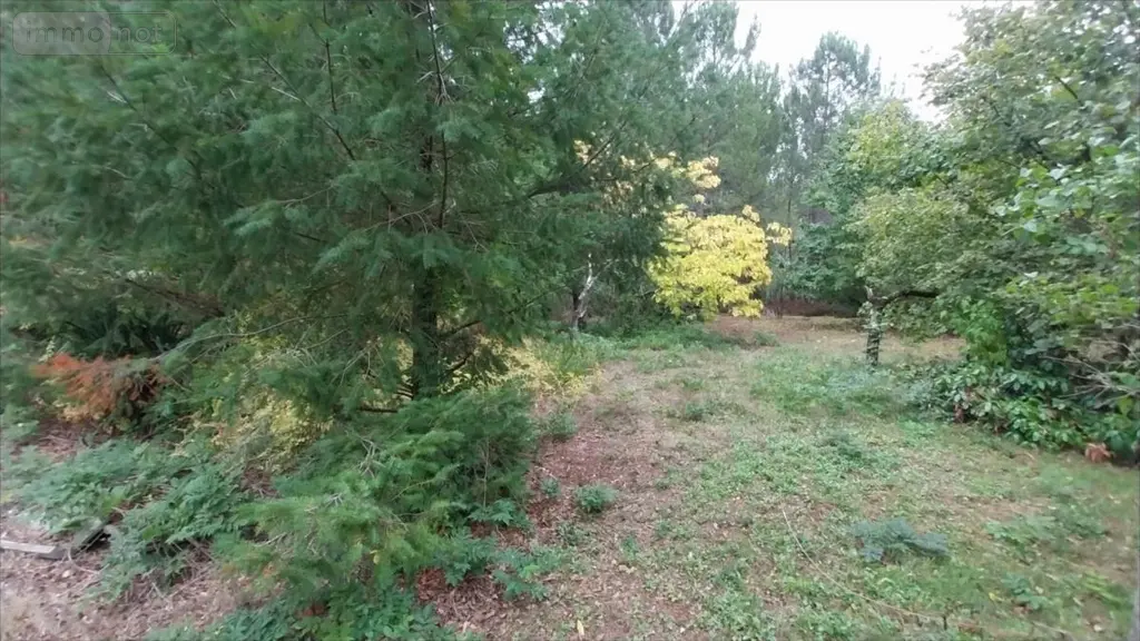 Maison a vendre Brette-les-Pins 72250 Sarthe 72 60 m2 1 pièce 33800 euros 72012-1096742 005