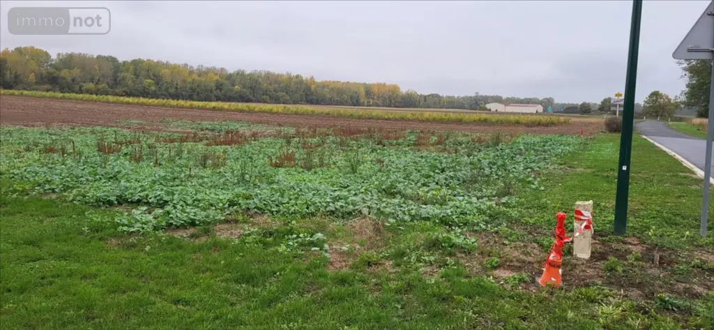 Terrain a batir a vendre Vouzy 51130 Marne 51 40000 euros 51011-1096888 001