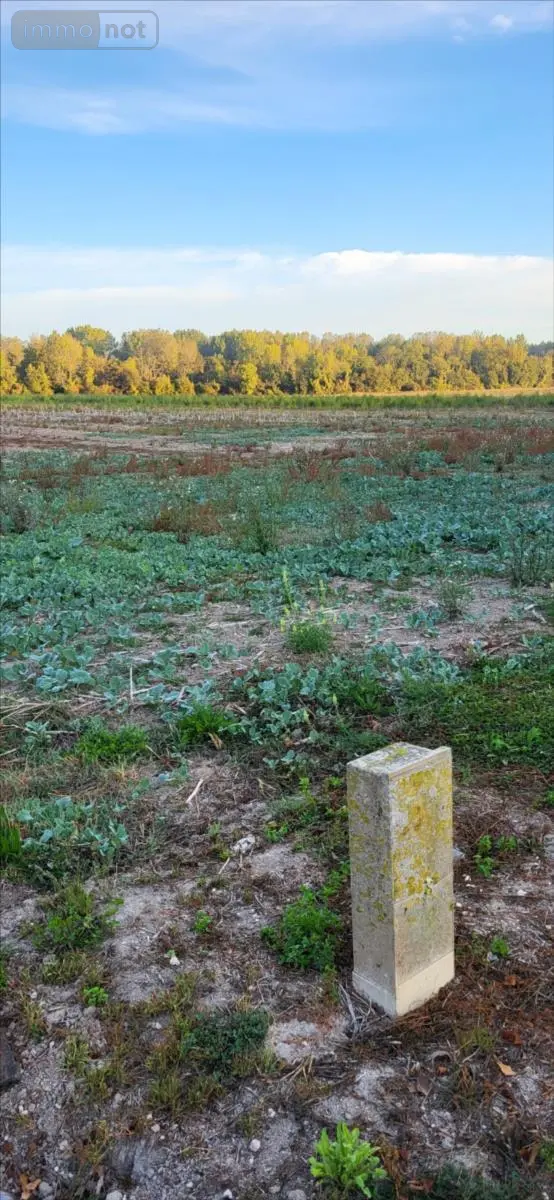Terrain a batir a vendre Vouzy 51130 Marne 51 40000 euros 51011-1096888 003