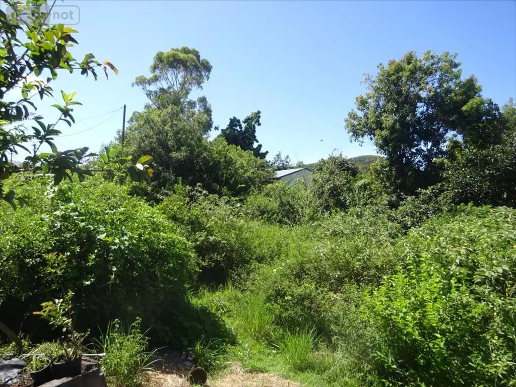 Terrain a batir a vendre Saint-Pierre 97410 La Réunion 974 229000 euros 36109 001