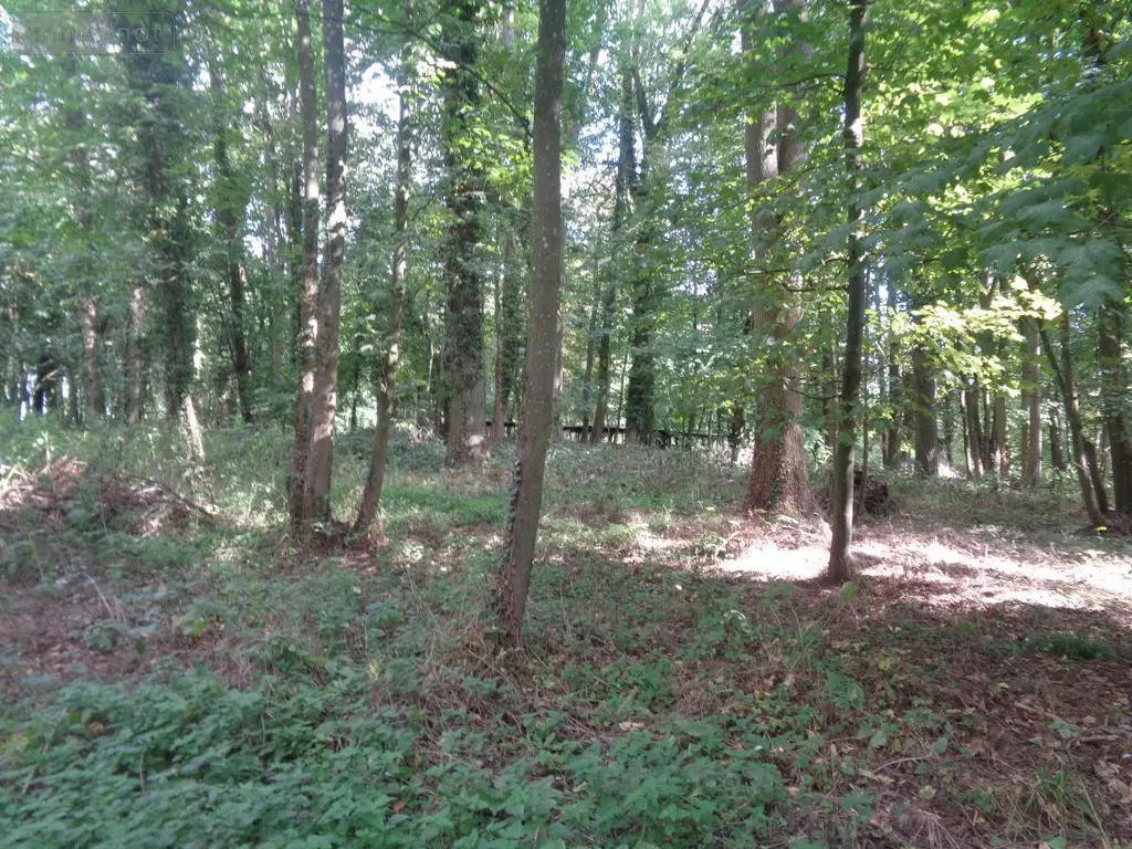Maison a vendre Lapugnoy 62122 Pas-de-Calais 62 227 m2 8 pièces 728000 euros 62023-3978 028