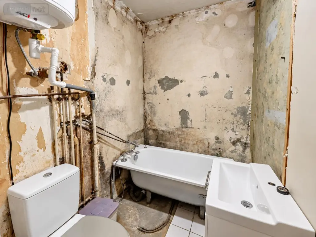 Maison a vendre Savonnières 37510 Indre-et-Loire 37 44 m2 2 pièces 85000 euros 37096-73 006
