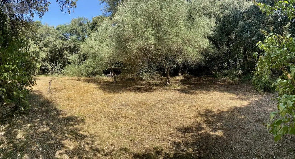 Terrain a batir a vendre Castries 34160 Hérault 34 359850 euros 34012-713 003