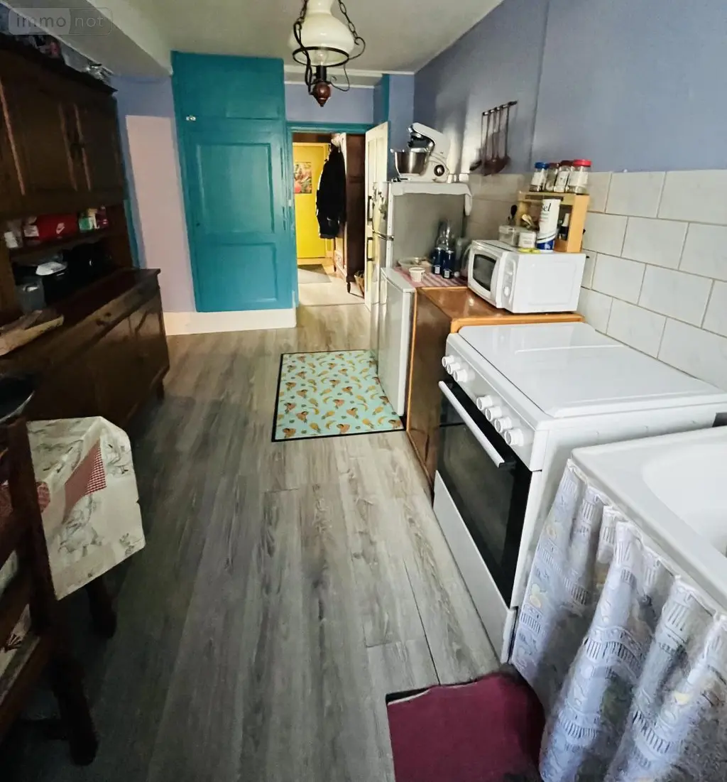 Viager immeuble de rapport Dole 39100 Jura 39 172 m2 50000 euros 39033-2547 007
