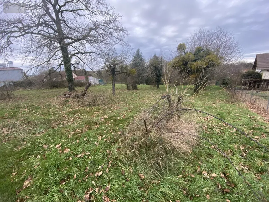 Terrain a batir a vendre Courtenay 45320 Loiret 45 29700 euros 45050-1346 003
