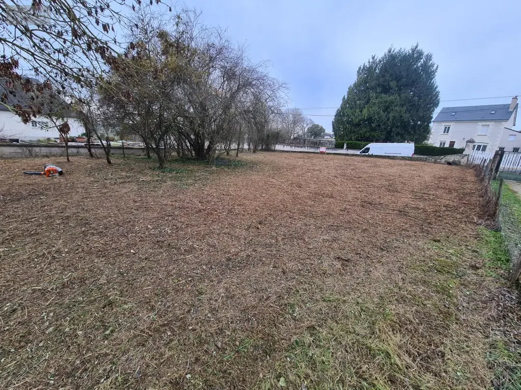 Terrain a batir a vendre Sepmes 37800 Indre-et-Loire 37 33000 euros 37072-670 004