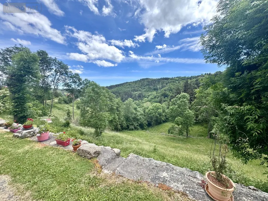 Maison a vendre Grandrieu 48600 Lozère 48 250 m2 368000 euros 48032-238 019