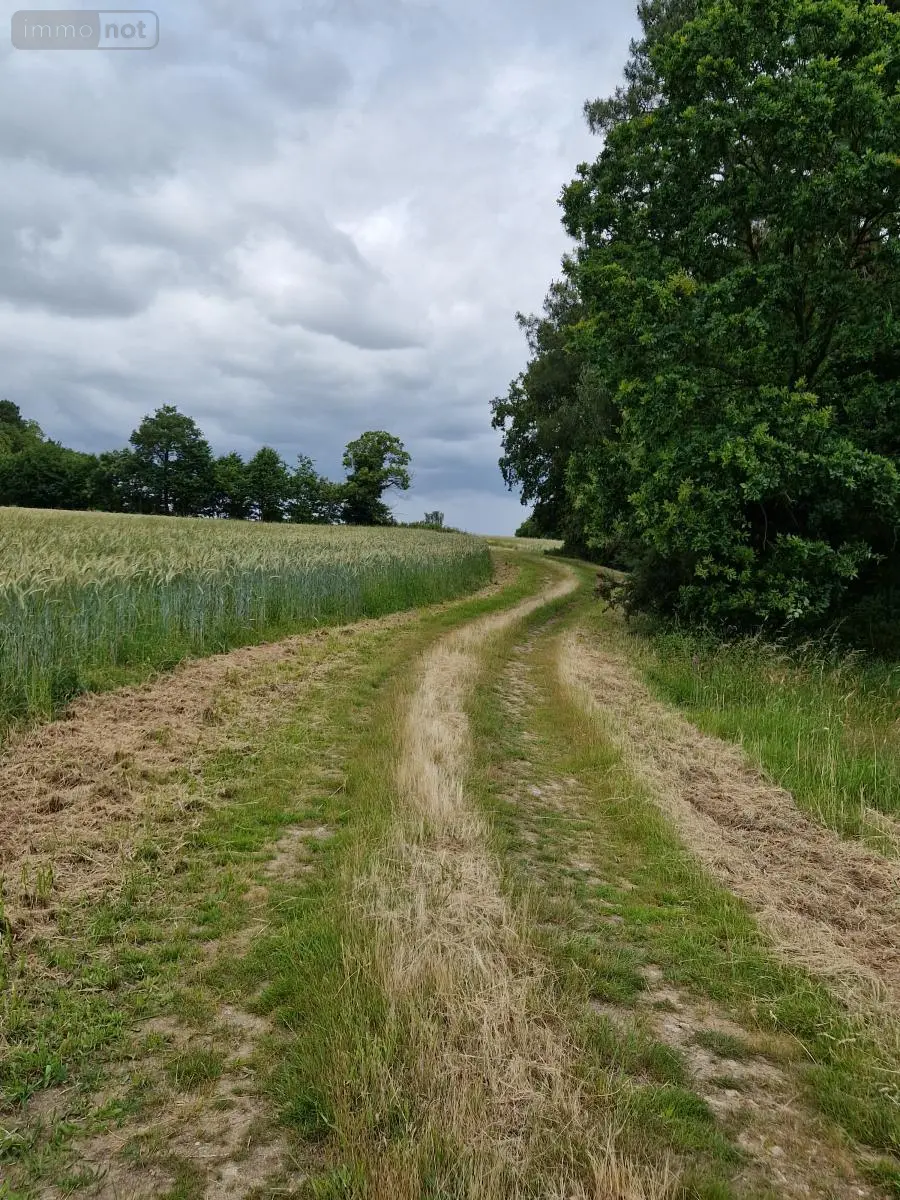 Terrains de loisirs bois etangs a vendre Val d'Oust 56460 Morbihan 56 1790 euros 56050-712 003