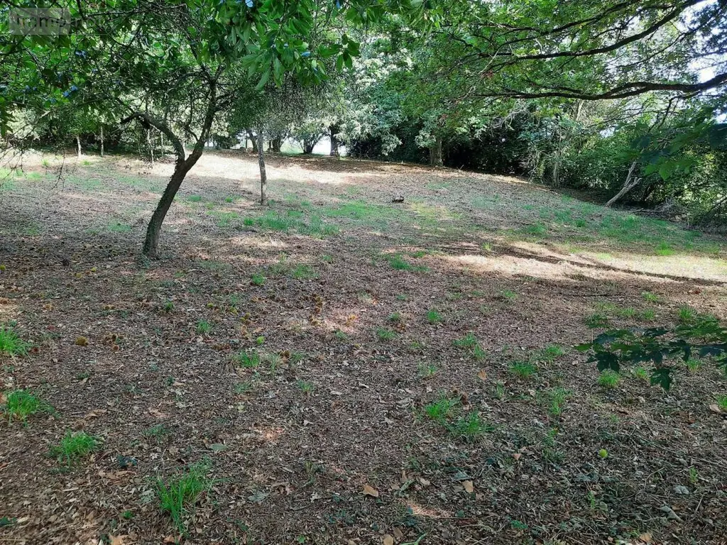 Terrain a batir a vendre Taupont 56800 Morbihan 56 43600 euros 56044-1478 001