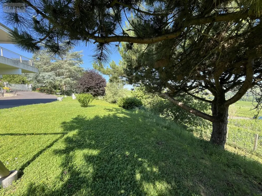 Maison a vendre Œuilly 51480 Marne 51 295 m2 8 pièces 420000 euros 51022-2350 002