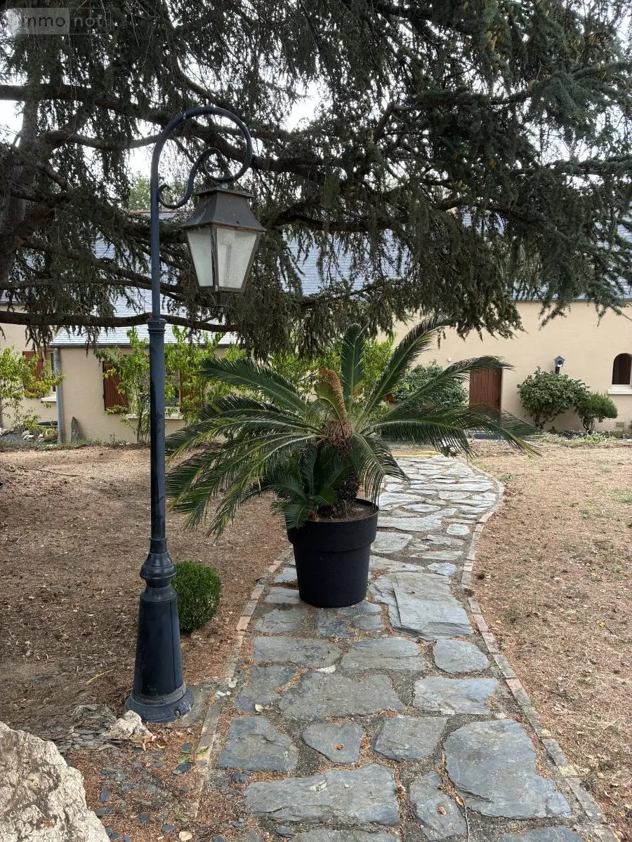 Maison a vendre Longuenée-en-Anjou 49220 Maine-et-Loire 49 200 m2 8 pièces 451110 euros 49031-2854 017