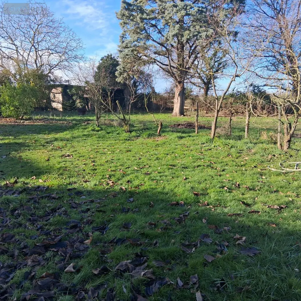Maison a vendre Loire-Authion 49250 Maine-et-Loire 49 158 m2 7 pièces 238120 euros 49039-1097 002