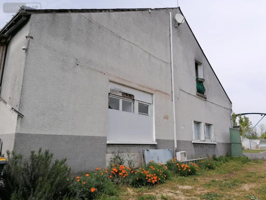 Immeuble de rapport a vendre Descartes 37160 Indre-et-Loire 37 183 m2 84000 euros 37082-252 002