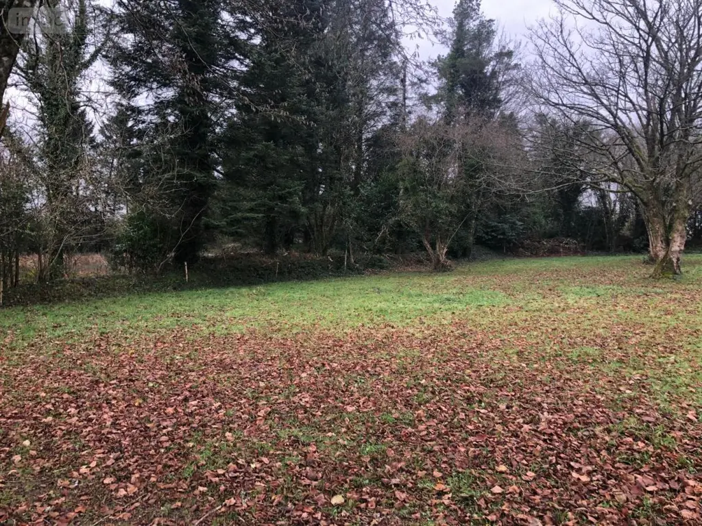 Terrain a batir a vendre Brennilis 29690 Finistère 29 15500 euros 29064-2778 001