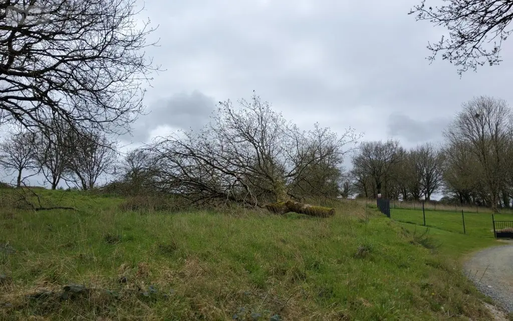Terrain a batir a vendre Carhaix-Plouguer 29270 Finistère 29 84000 euros 29066-3859 005