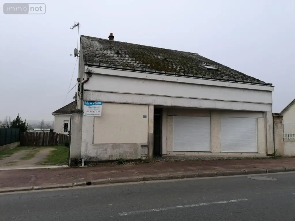 Immeuble de rapport a vendre Descartes 37160 Indre-et-Loire 37 183 m2 84000 euros 37082-252 001