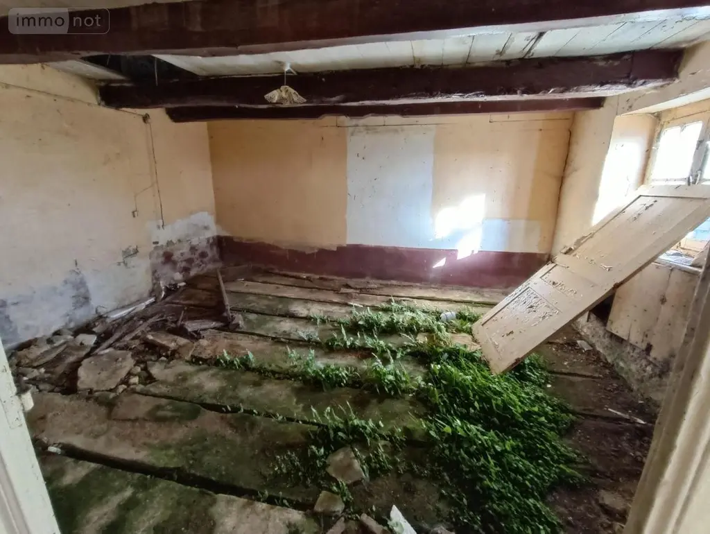 Maison a vendre Pluméliau-Bieuzy 56310 Morbihan 56 40 m2 2 pièces 63700 euros 56062-2308 006