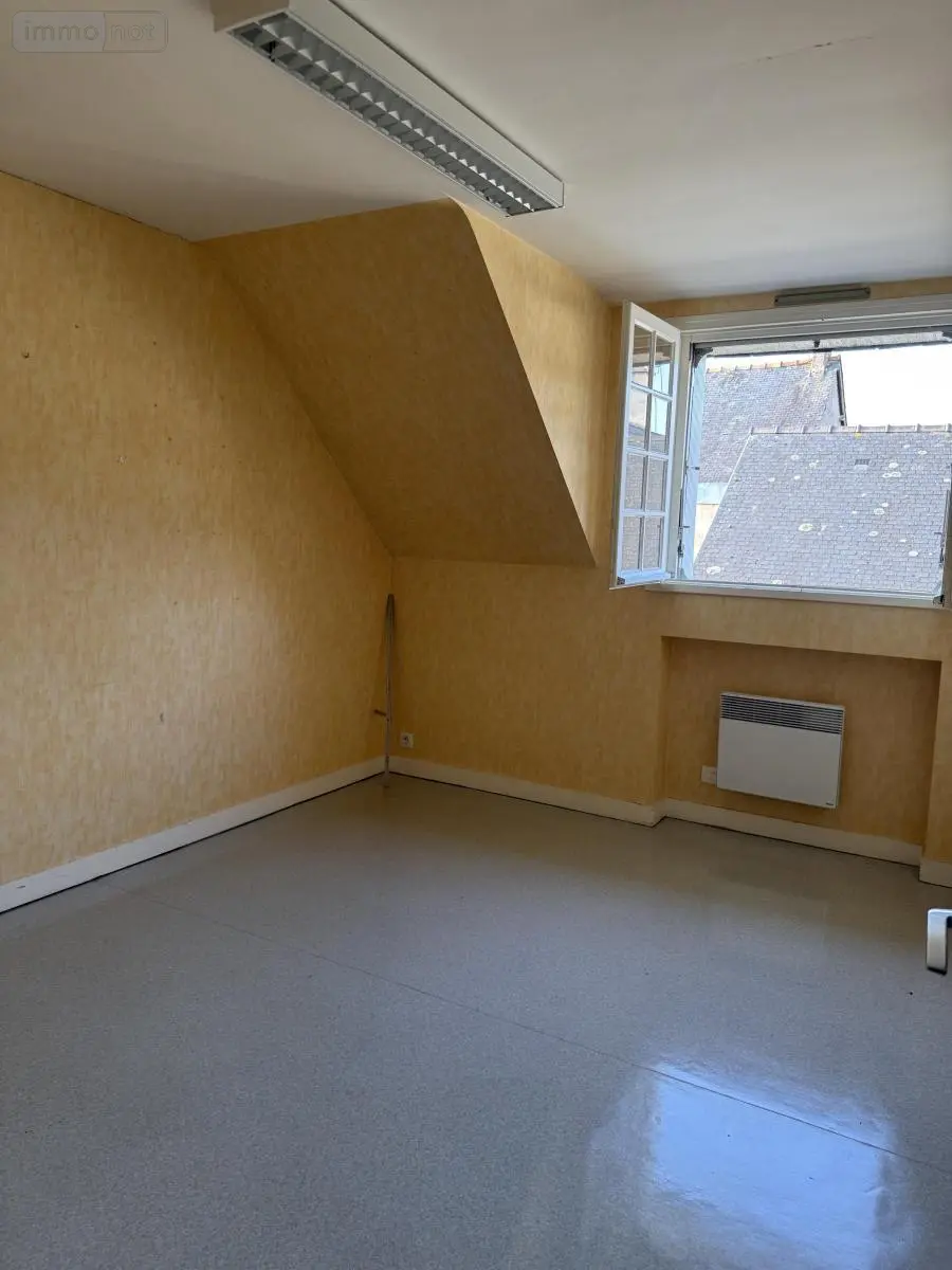 Fonds et murs commerciaux a vendre Malestroit 56140 Morbihan 56 230 m2 364900 euros 56002-1627 005