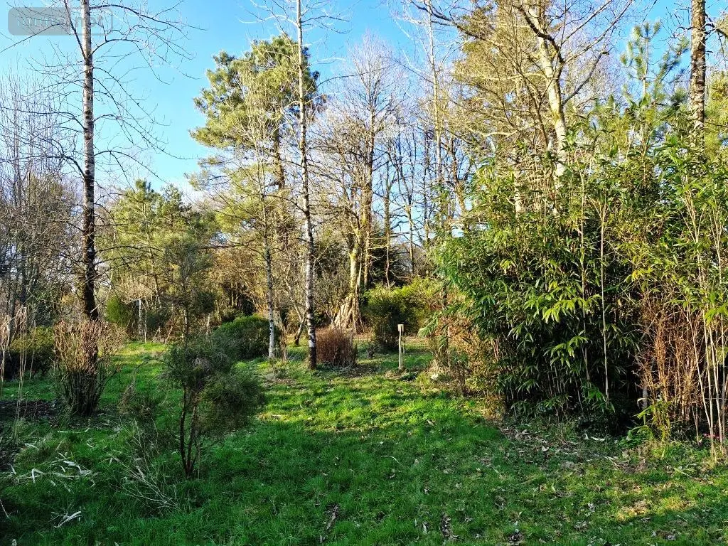 Maison a vendre Lescouët-Gouarec 22570 Côtes-d'Armor 22 61 m2 4 pièces 84850 euros 56075-2333 004