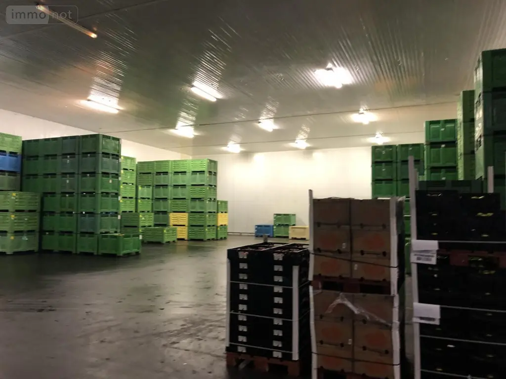 Fonds et murs commerciaux a vendre La Chapelle-d'Aligné 72300 Sarthe 72 27247 m2 2100000 euros 49008-32 003