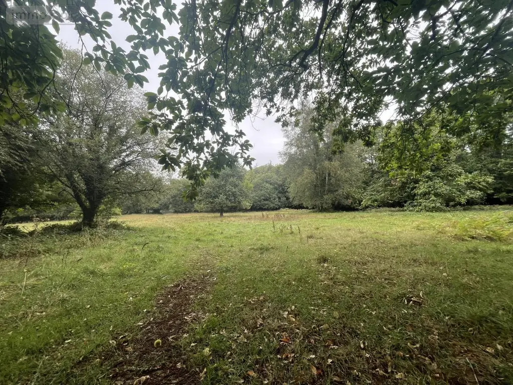 Terrains de loisirs bois etangs a vendre Le Faouët 56320 Morbihan 56 20600 euros 56081-2679 005