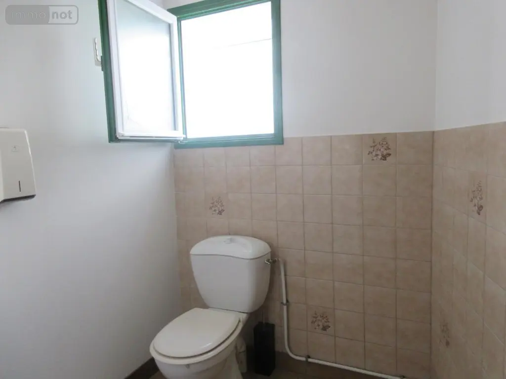Immeuble de rapport a vendre Locminé 56500 Morbihan 56 160 m2 99860 euros 56077-967 006