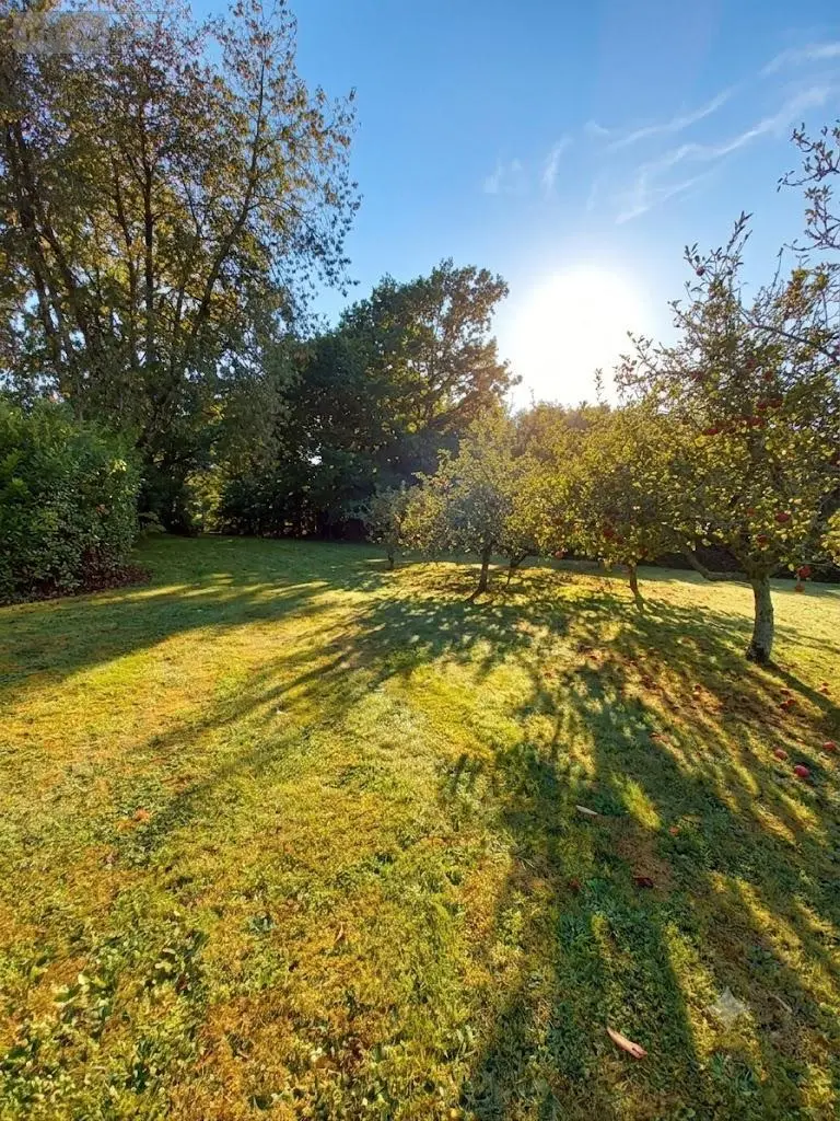 Maison a vendre Camors 56330 Morbihan 56 107 m2 239720 euros 56080-971 006