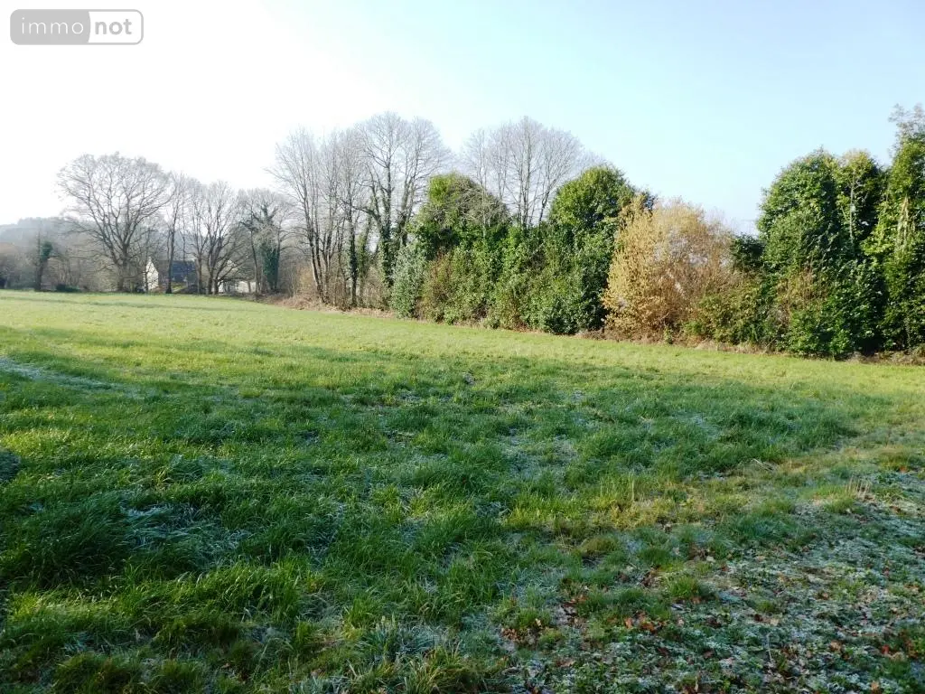 Terrain a batir a vendre Guern 56310 Morbihan 56 31980 euros 56075-2107 003