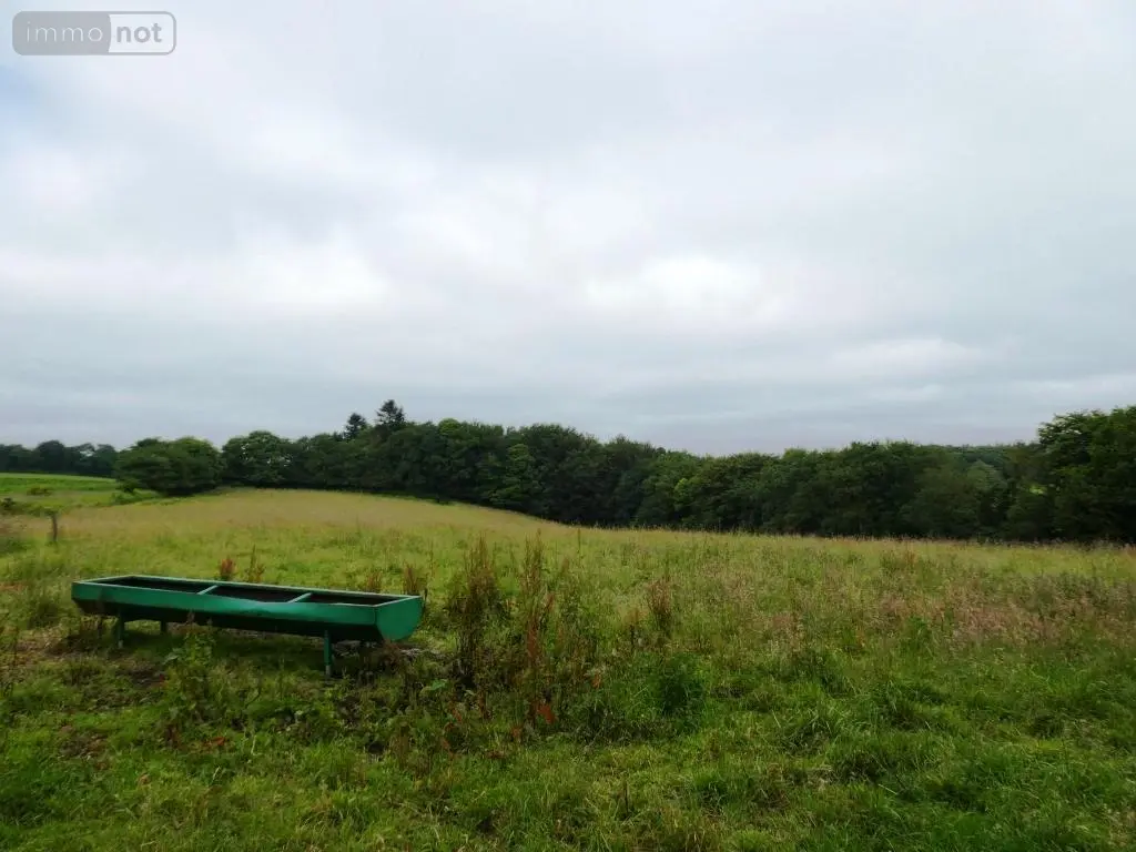 Terrains de loisirs bois etangs a vendre Plouray 56770 Morbihan 56 15990 euros 56075-2387 005