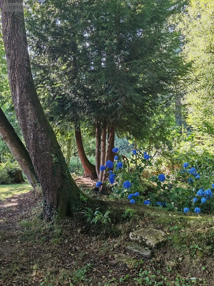 Maison a vendre Camors 56330 Morbihan 56 124 m2 6 pièces 339900 euros 56001-1272 014