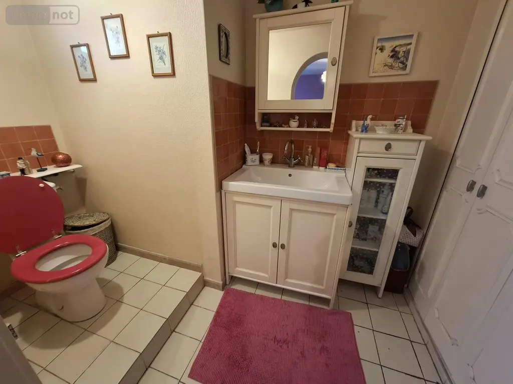 Maison a vendre Saintes 17100 Charente-Maritime 17 147 m2 8 pièces 374000 euros 17111-746 014