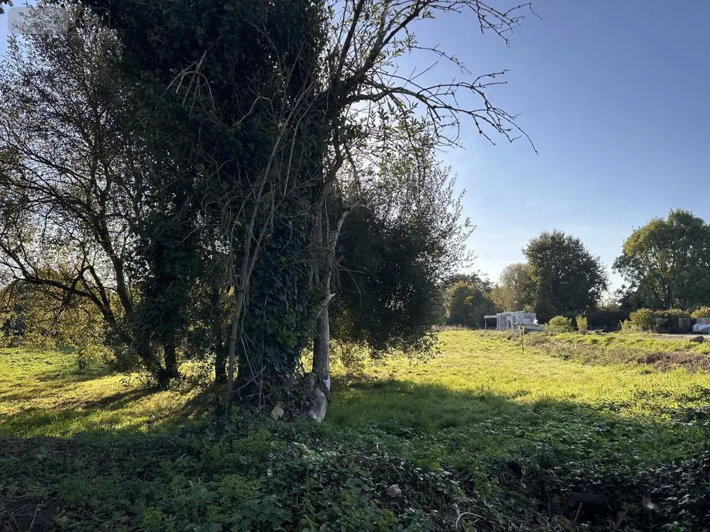 Terrain a batir a vendre Île-d'Arz 56840 Morbihan 56 373540 euros 56003-1351 006