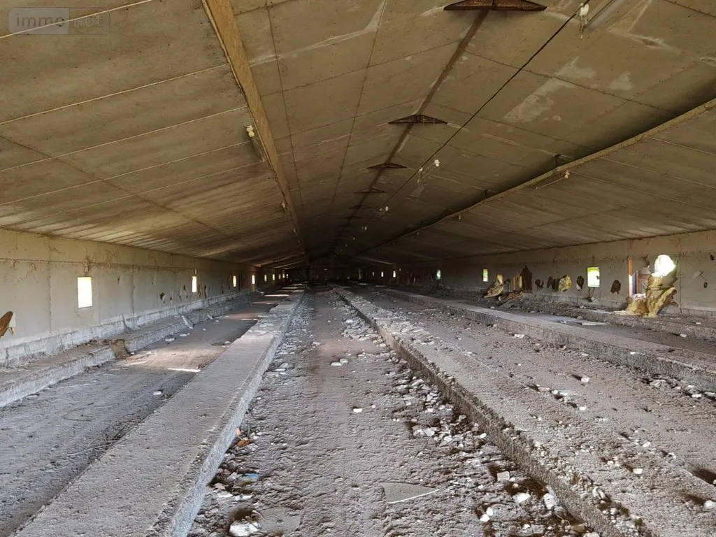 Divers a vendre Plounéour-Ménez 29410 Finistère 29 1300 m2 28000 euros 29107-2736 002