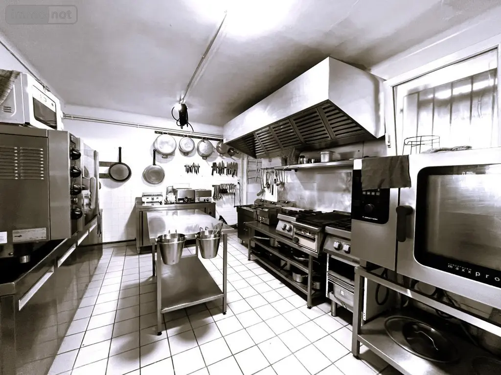 Fonds et murs commerciaux a vendre Saint-Brevin-les-Pins 44250 Loire-Atlantique 44 220 m2 354750 euros 44086-1528 003