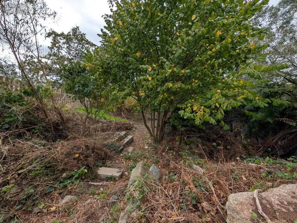 Terrain a batir a vendre Morlaix 29600 Finistère 29 22500 euros 29086-1778 009