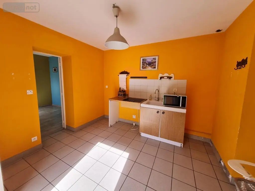 Maison a vendre Montoire-sur-le-Loir 41800 Loir-et-Cher 41 125 m2 6 pièces 140265 euros 41059-896 006