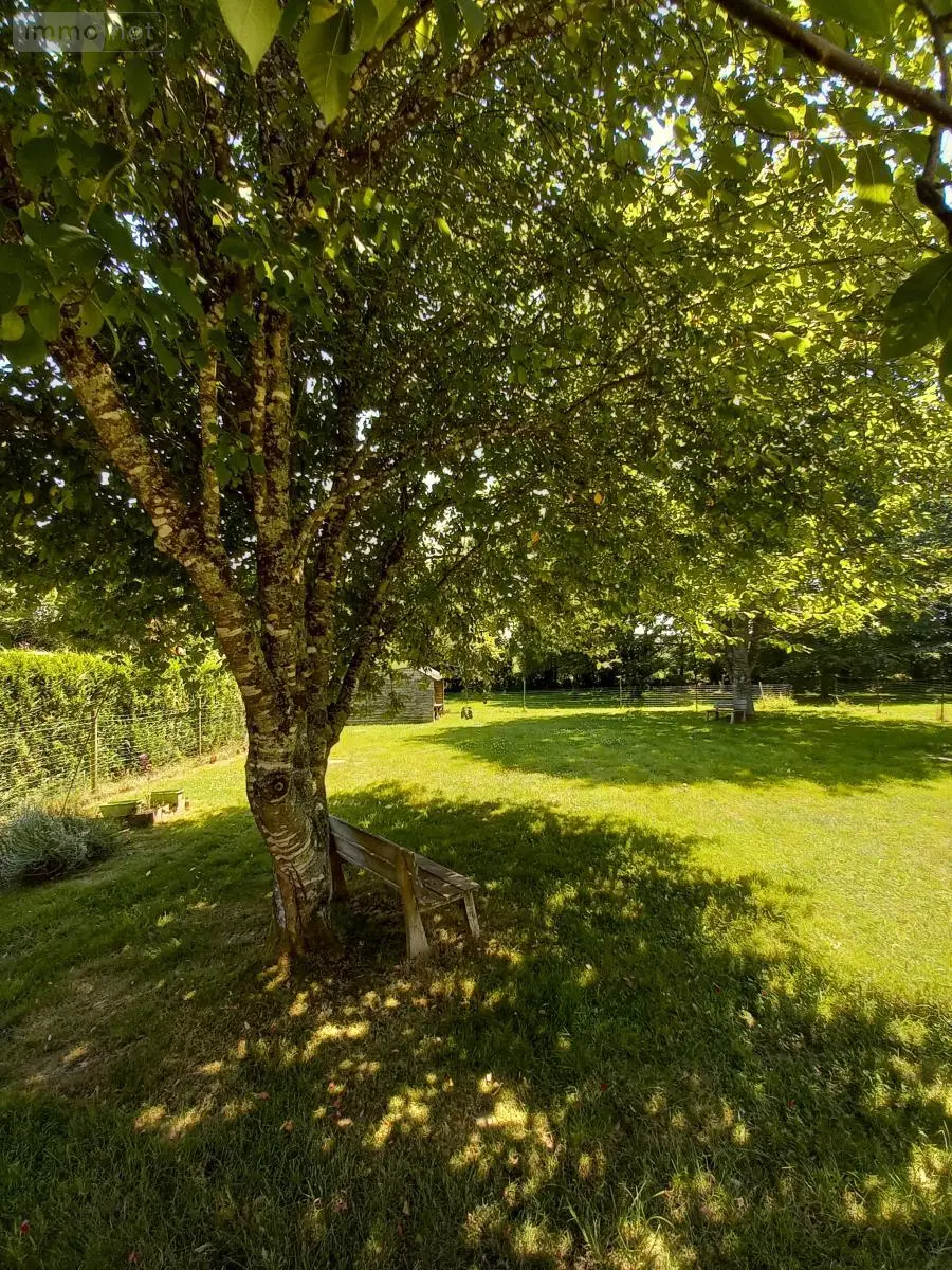 Maison a vendre Pluvigner 56330 Morbihan 56 101 m2 5 pièces 250080 euros 56080-973 005