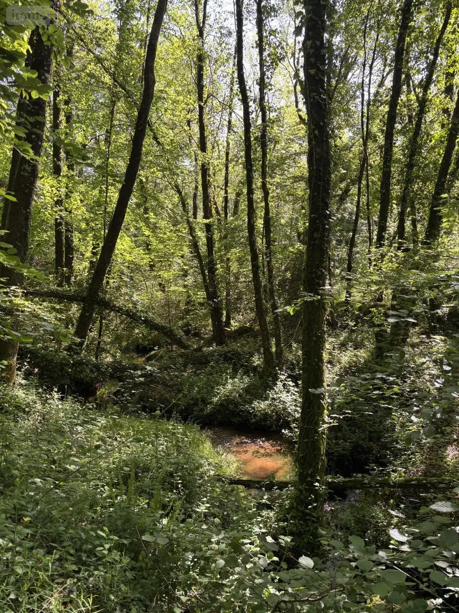 Terrains de loisirs bois etangs a vendre Noues de Sienne 14380 Calvados 14 168800 euros 14076-5956 014
