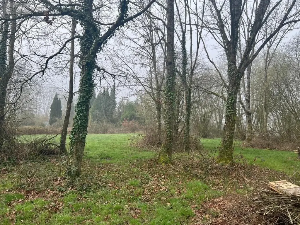 Divers a vendre Courtonne-les-Deux-Églises 14290 Calvados 14 4280 m2 26500 euros 14058-1518 003